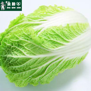 新鲜蔬菜 新鲜大白菜大白菜份/1颗北京送到家 精品蔬菜