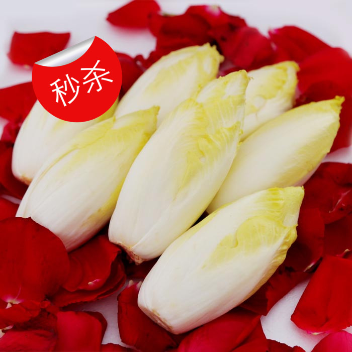 新鲜蔬菜 野菜 玉兰菜 欧洲菊苣 金玉兰 比利时生菜 佳肴500g