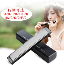 12调 正品 天鹅24孔复音口琴A 包邮