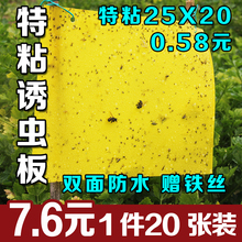 包邮 双面pp塑料捕虫板诱虫板杀蚜虫粉虱小飞黑虫蓟马 粘虫板黄板