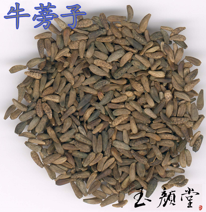 玉颜堂精选中药材 牛蒡子 大力子 牛子 鼠粘子 牛子根两件包邮