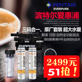 正品直饮净水机爱惠浦净水器4FC-S双联款美国滨特尔厨房过滤器