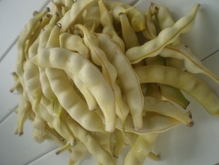 兔子翻白眼豆角 白豆角 黄豆角 东北特产 现货发售 新鲜 鼓豆豆角