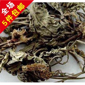 抓药中药材 批 发 车前草 500克 清热  消水肿