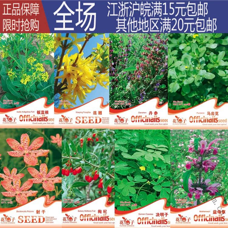中草药材种子 连翘 板蓝根 丹参 枸杞 决明子 射干 益母草种子