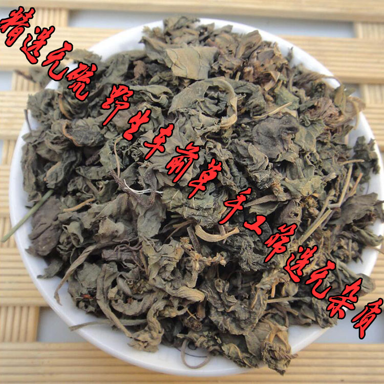 正品中药材车前草车轮菜车前草茶清热痛风克星500克批发