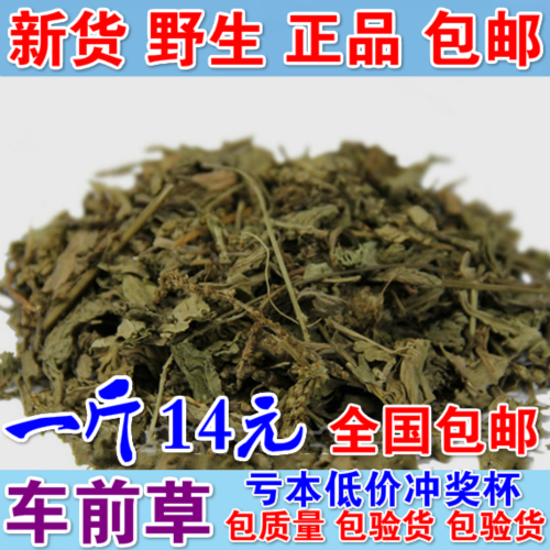 中药材 车前草 野生 车前草 车前草茶 牛舌菜 新鲜 500克 包邮