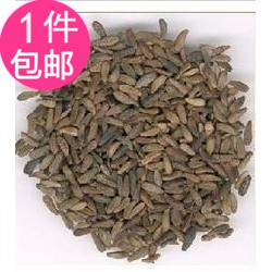 抓药中药材批 发 牛蒡子 500克 大力子1件包邮