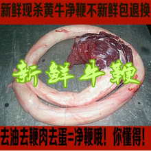 新鲜老黄牛鞭牛睾丸生牛鞭泡酒牛鞭鲜牛蛋牛宝牛鞭新鲜男用净鞭