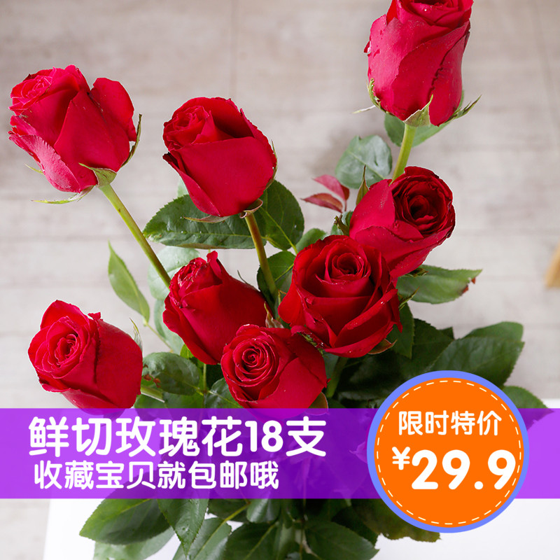 玫瑰花鲜花