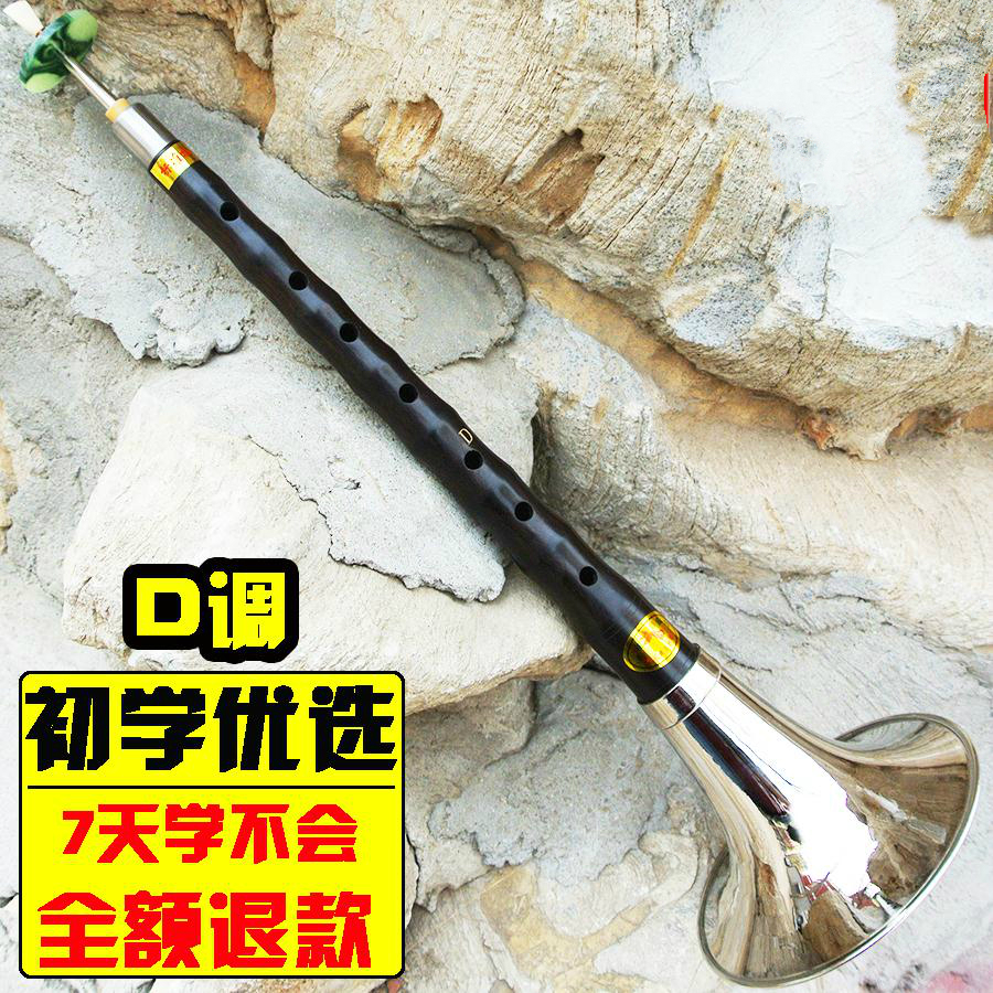 唢呐乐器 初学者成人乌木唢呐c调全套民族吹奏乐器送哨片流行歌曲