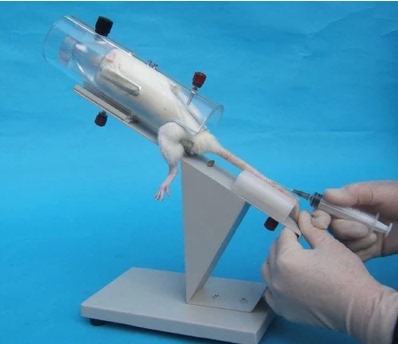 促销小鼠固定器小鼠尾注固定筒架小鼠尾静脉注