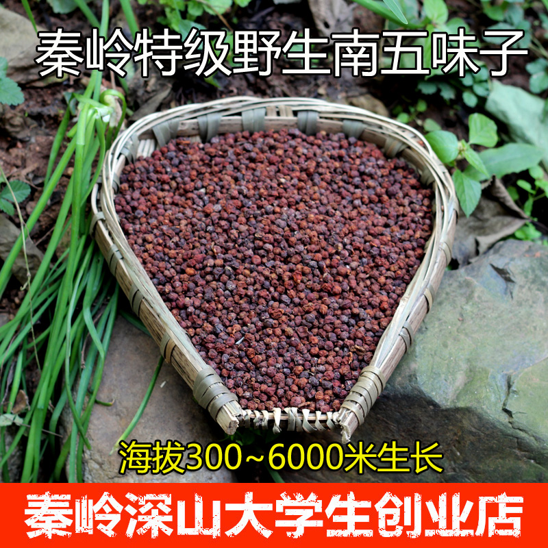 商於百草 2016新货秦岭野生五味子南五味子养生茶泡酒中药材500g