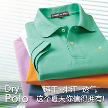 翻领纯棉青年男夏季休闲保罗衫 短袖 大码 T恤polo衫 占姆士男士