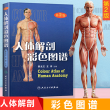 郭光文 全彩人体解剖学彩色学图谱 西医解剖学外科医生用书 人体解剖学入门书籍 人体解剖彩色图谱 第2二版 精装 正版