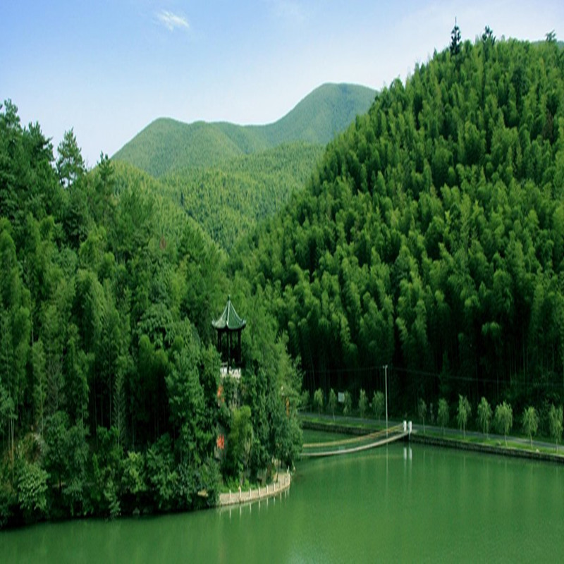 j宜兴竹海风景区门票江苏无锡宜兴竹海风景区门票电子票