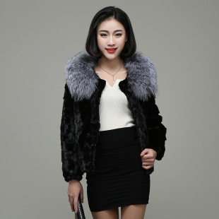 016冬季银狐领韩版进口拼貂短款女外套 时尚潮