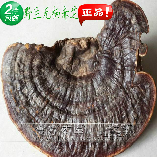 纯野生海南野生无柄赤芝同仁堂无柄灵芝 野生无柄赤芝 250克