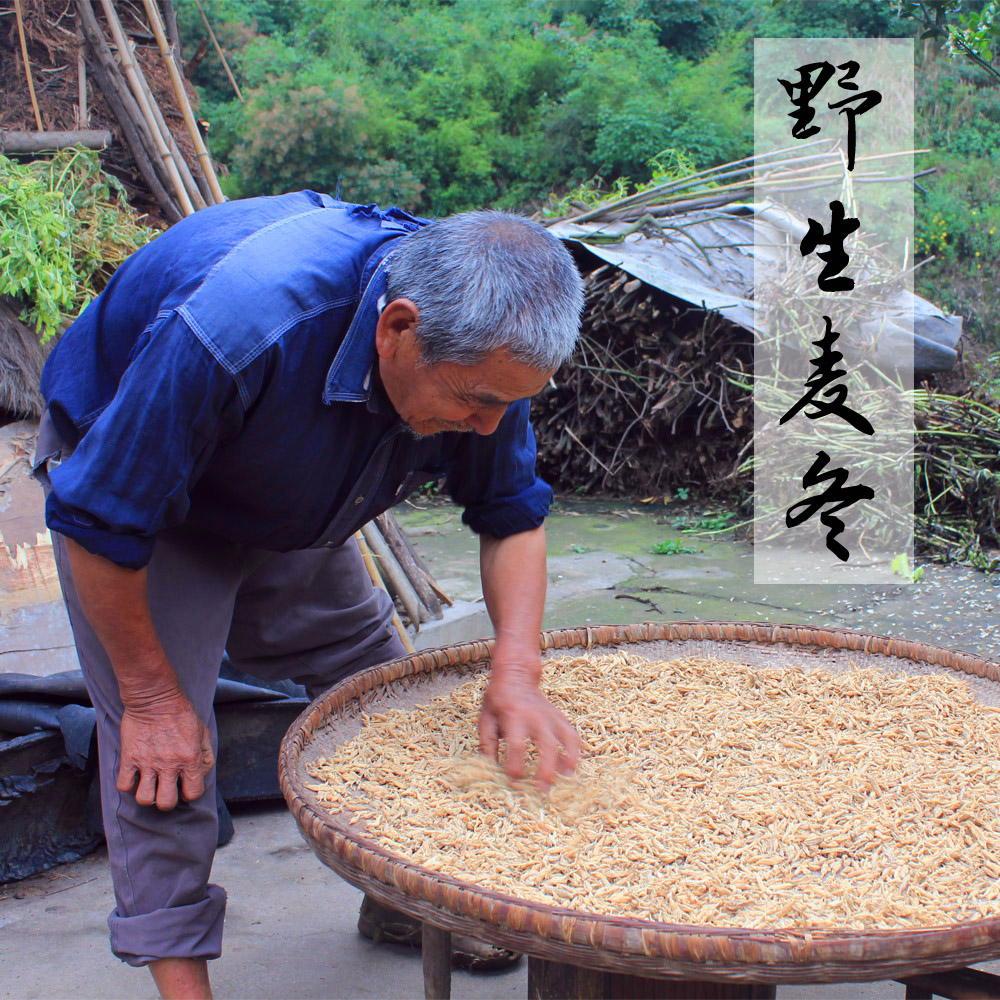 纯野生麦冬 滋补中药材养生 特级无硫非四川绵阳麦冬 200克 包邮