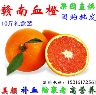 甜橙 赣南红肉脐橙 赣州红橙子 江西脐橙 血橙 甜橙 新鲜水果10斤包邮