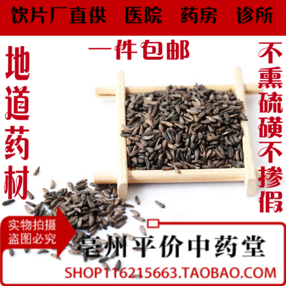 中药材  炒牛蒡子 野生 大力子 牛蒡子 大粒籽 大力籽 正品
