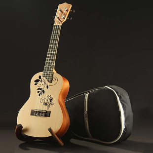 除了吉他什么乐器_玩易乐器吉他弹唱视频_吉他属于什么乐器