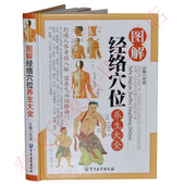 硬壳精装 彩图版使用手册全书图册 送彩色穴位大图 中医保健养生书籍畅销书 包邮 图解人体经络穴位养生大全 图解系列 正版