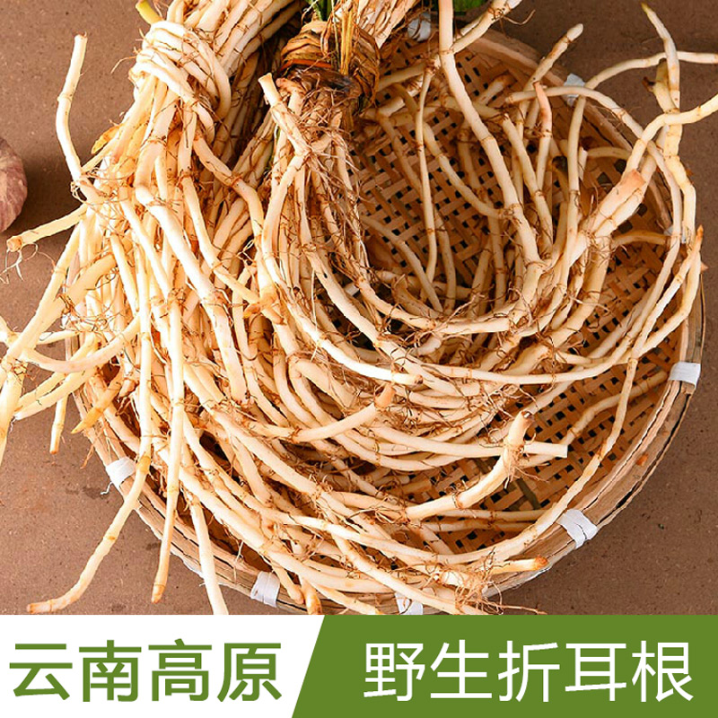 包邮新鲜现挖折耳根4斤新鲜蔬菜鱼腥草则耳根侧耳根节节根下饭菜