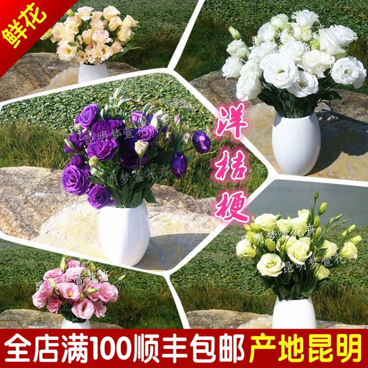 洋桔梗鲜花切花批发扎云南昆明产地直发家庭插花手捧花婚庆龙胆花