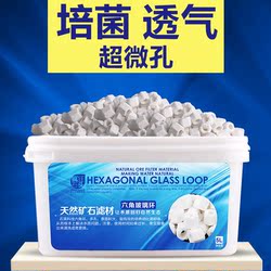 疯狂石头 鱼缸活性炭 净水过滤材料椰壳活性炭