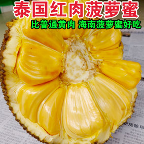 [折扣]新鲜菠萝蜜肉正品 菠萝蜜肉怎么保存购买