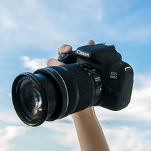 单反相机 佳能EOS800D套机18 大象摄影 55入门级高清数码 Canon