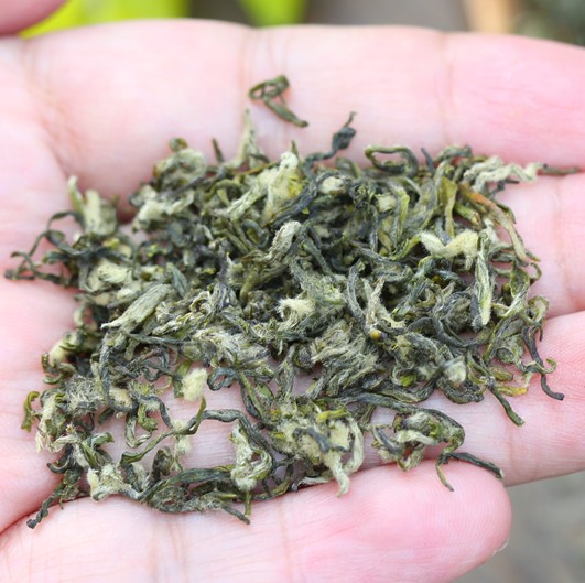 2016新茶 苏州洞庭山碧螺春茶叶 绿茶散装春茶 东山茶农直销250G