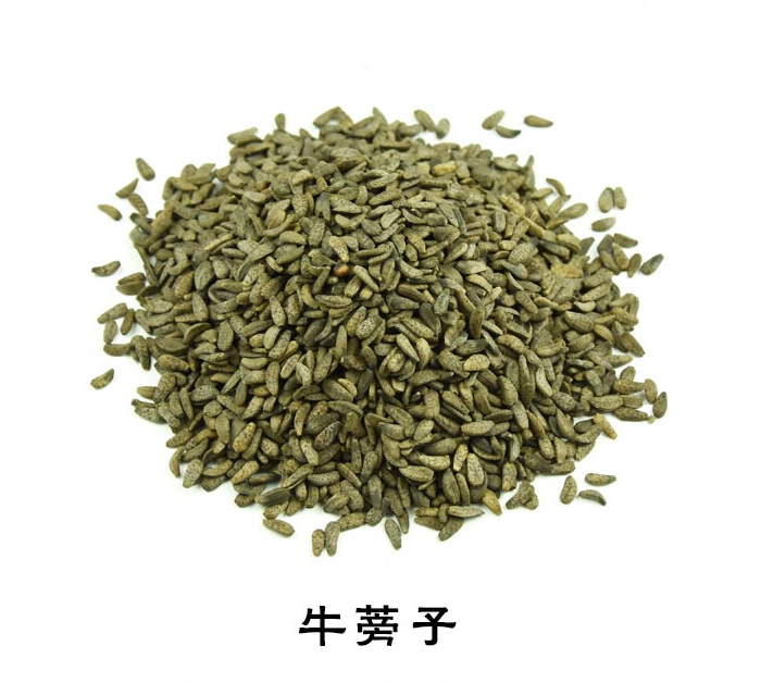 牛蒡子 恶实鼠粘子黍粘子大力子黑风子牛子 中药材