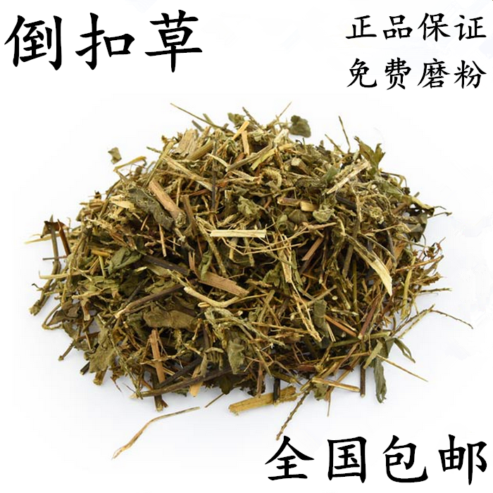 倒扣草 粗毛牛膝牛舌大黄土牛膝 倒扣草中药材500克包邮