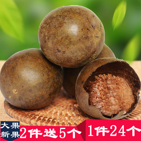 【2件送5个】桂林永福罗汉果大果 现货 新果1件24个个头均匀 包邮