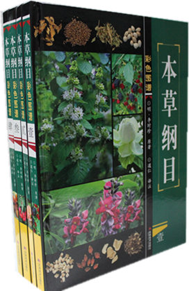 本草纲目 彩色图谱 图鉴 图集 16开精装彩图铜版纸全4卷 李时珍本草图谱 草药方 中药方 中医养生