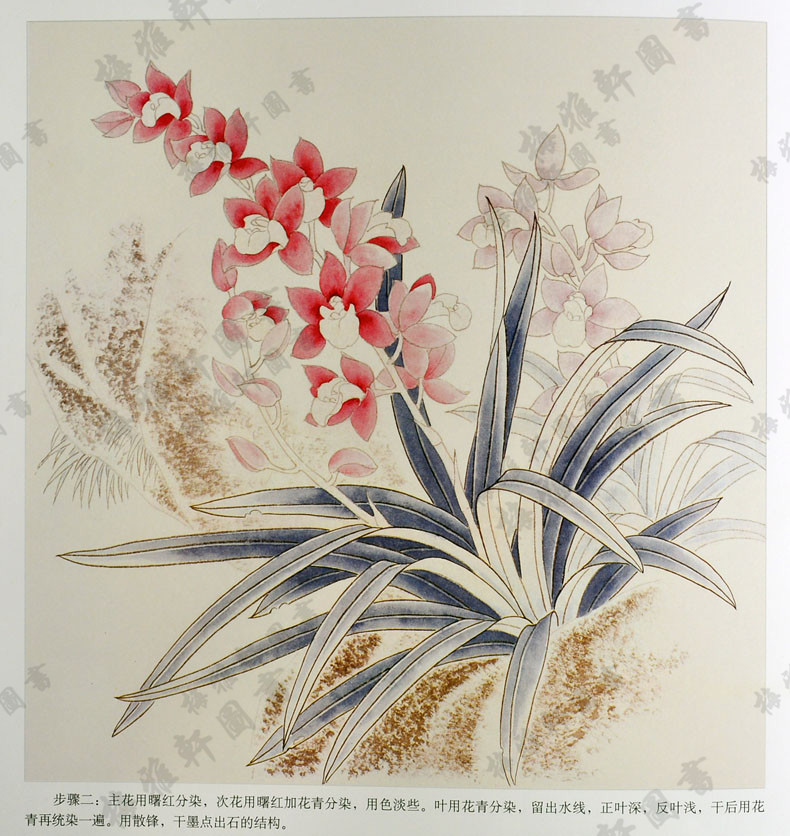 梅雅轩图书工笔兰花绘画技法田希丰著 工笔画国画技法教材绘画步骤