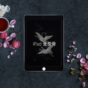 ipad air2贴纸彩膜3迷你4日韩黑色飞鹤男保护前后膜mini2钢化彩贴