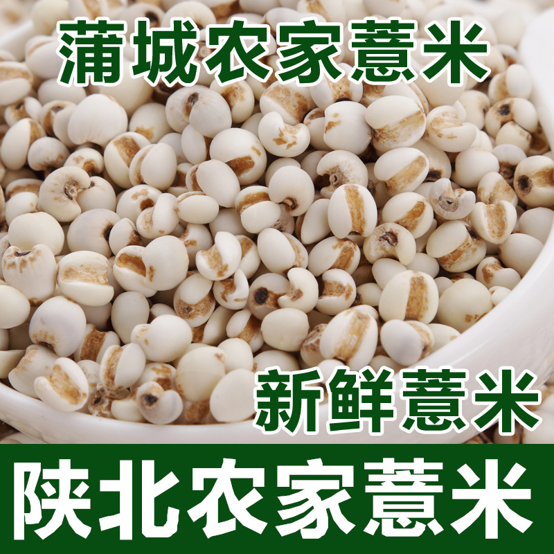 特产粗粮 蒲城薏米仁 五谷杂粮薏仁米 农家小薏米 特价3斤包邮