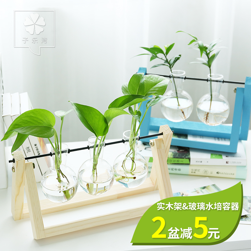 绿萝水培植物盆栽玻璃瓶摆件室内桌面绿植办公室盆栽创意木架绿箩 
