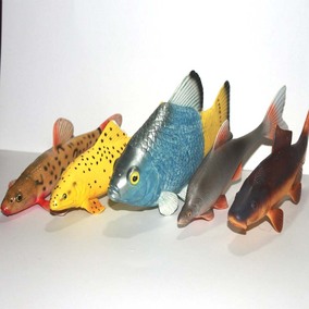 正品[鳉鱼]红鳉鱼评测 黄金鳉鱼寿命图片