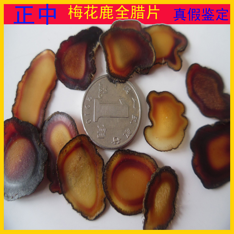 正宗梅花鹿鹿茸 腊片 半腊片 鹿茸片 产地直销 特价5克包快