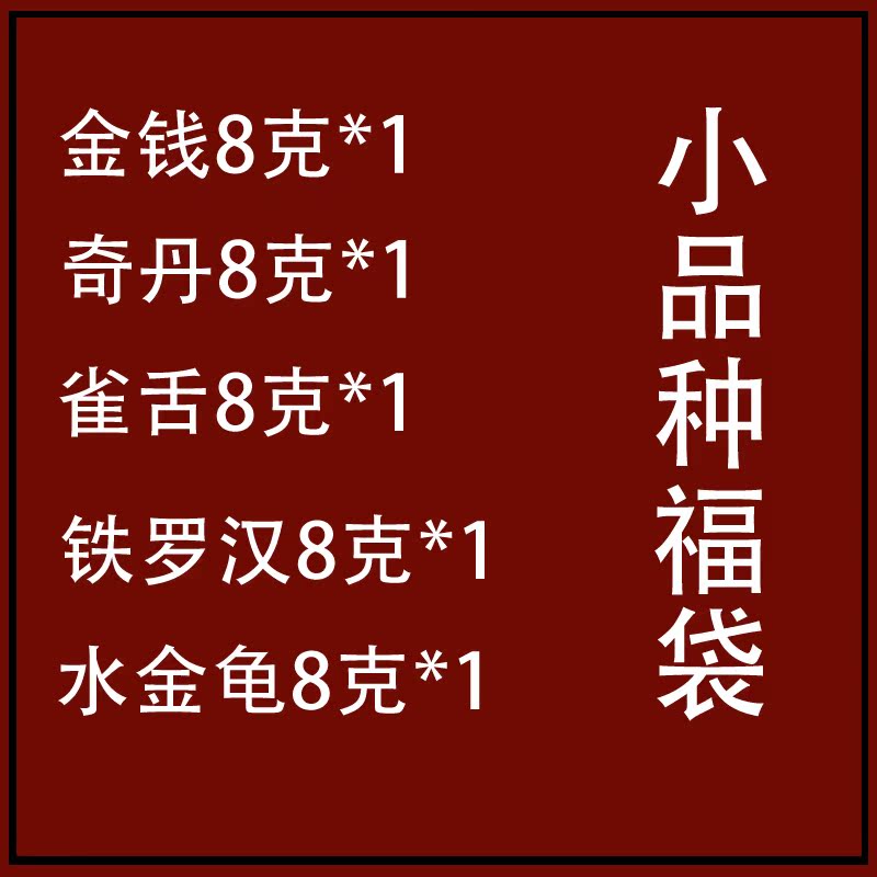 戏球名茶 会员福利专享福袋 金钱、雀舌、奇丹、铁罗汉、水金龟