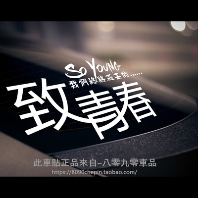 致我们终将逝去的青春车贴 90后汽车贴纸 创意