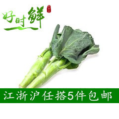 新鲜蔬菜美国鸡腿芥 大芥蓝 绿叶甘蓝 芥兰 芥蓝菜 500g