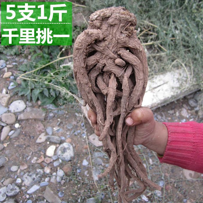 甘肃岷县特级5支归大当归自家种纯天然非野生500克无硫药材岷归