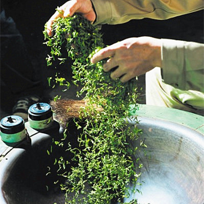 苏州东山洞庭山碧螺春2016新茶 全芽明前一级50G绿茶茶叶特级散装