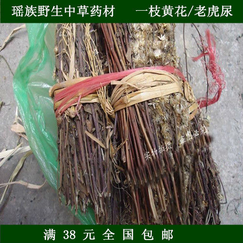野生中草药材 一枝黄花黄菊小柴胡老虎尿 整株入药500g包邮