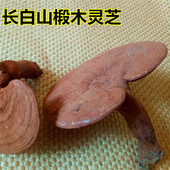 长白山灵芝半野生椴木赤灵芝整支紫灵芝灵芝片粉100g煲汤泡酒料